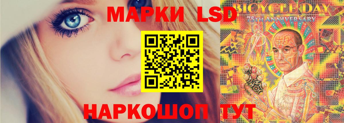 МЕФ Ейск