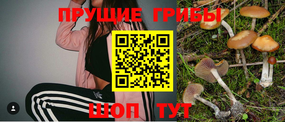 Псилоцибиновые грибы Psilocybe  Вход с VPN  Ейск 